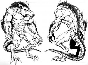 Splinter_nm2